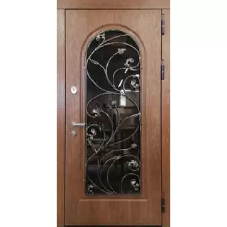 Дверь парадная с ковкой и большим стеклом